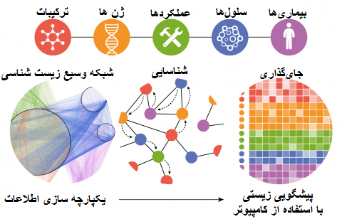 شکل 16: استفاده از دانش بیوانفورماتیک جهت کشف داروها با کمک اطلاعات ژن ها و پروتئین ها در مورد عوامل بیماری زا و بیماری ها